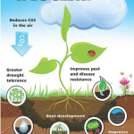 Biochar – Unfolding New Chapters of Sustainable Energy