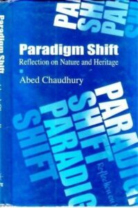 Read more about the article Paradigm Shift