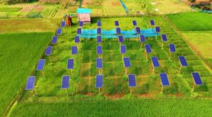 Read more about the article The Solar Panel Solution